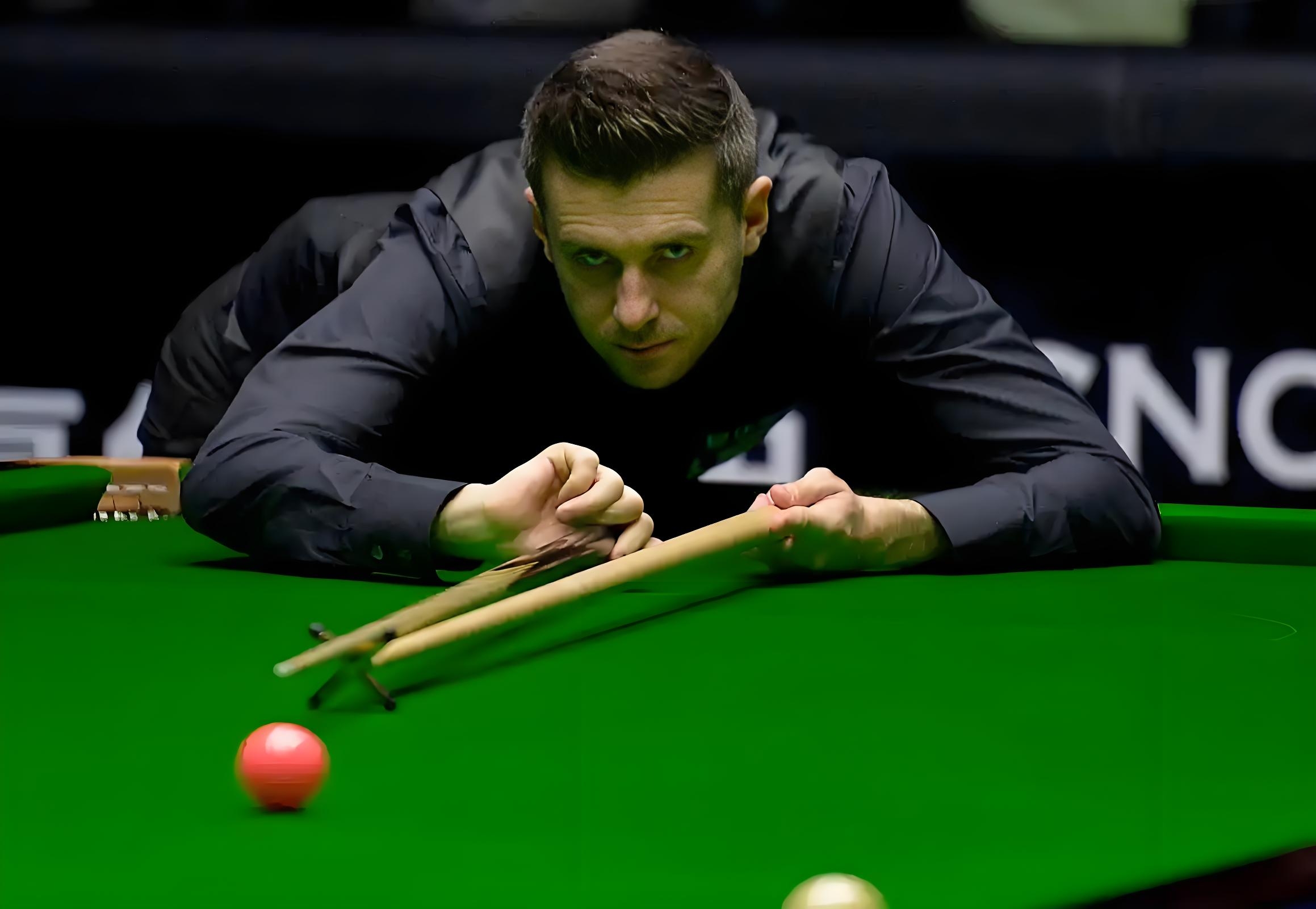 带来了新的 带来了新的