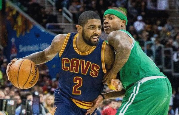 行动建议 行动建议